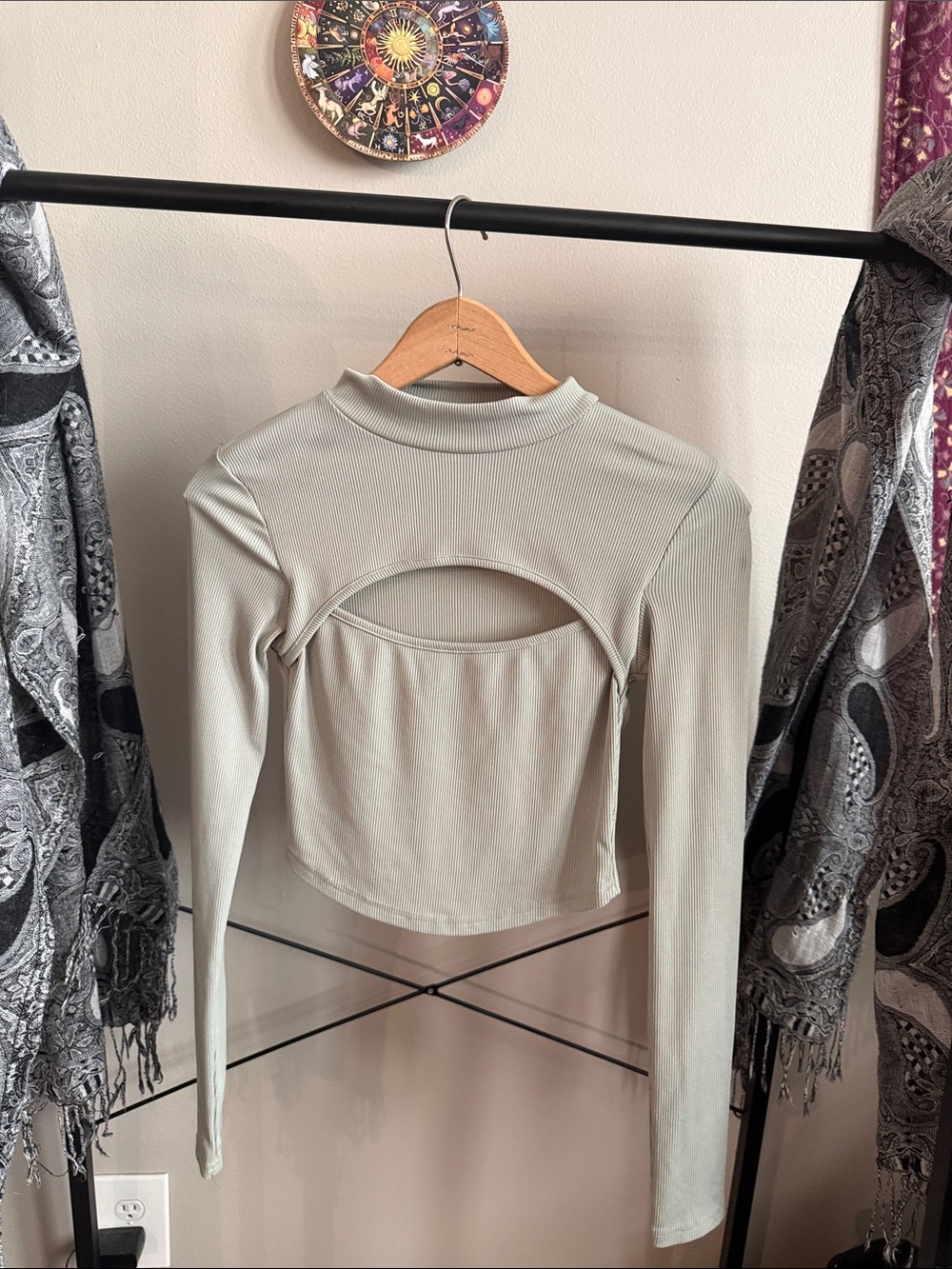 SHEIN Light Sage Long Sleeve Crop Top with Back Cutout